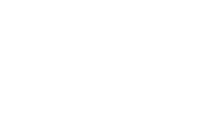 The Tech Dojo Logo